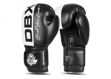 10oz Boxing Gloves Harmony Valor Series - DBX Bushido - 