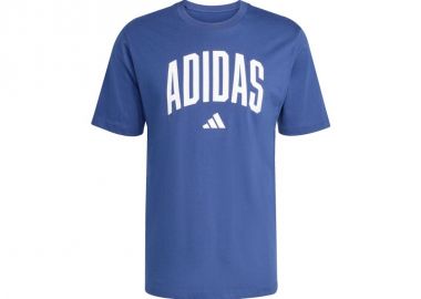 adidas Collegiate Lineage Graphic Tshirt M JM6417 - adidas performance - 