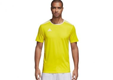 Adidas Entrada 18 Αθλητικό Ανδρικό T-shirt Κίτρινο με Λογότυπο CD8390 - adidas performance - 