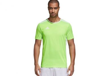 Adidas Entrada 18 Jersey Ανδρικό Αθλητικό T-shirt Κοντομάνικο Πράσινο CE9758 - adidas performance - 
