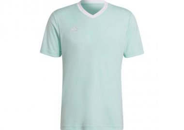 Adidas Entrada 22 Ανδρικό T-shirt Clear Mint Μονόχρωμο HC5073 - adidas performance - 