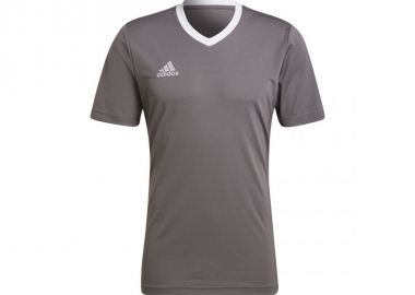Adidas Entrada 22 Ανδρικό T-shirt Team Grey Four Μονόχρωμο HE1574 - adidas performance - 