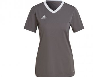 Adidas Entrada 22 Γυναικείο Αθλητικό T-shirt Fast Drying με V Λαιμόκοψη Team Grey Four H59848 - adidas performance - 