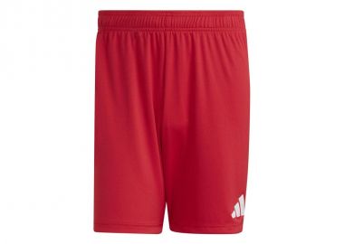 adidas Entrada 26 JZ2517 shorts - adidas performance - 