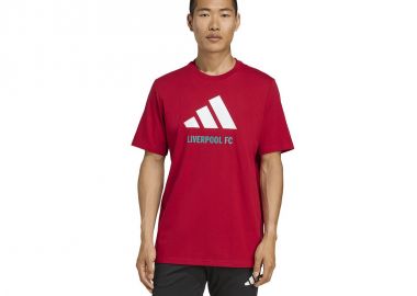 adidas Liverpool FC Seasonal DNA Graphic Tee 2 JY3466 - adidas performance - 