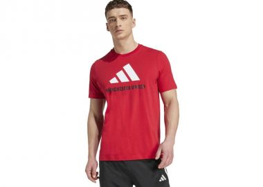 adidas Manchester United FC Tee JX1129 - adidas performance - 
