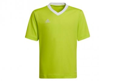 Adidas Παιδικό T-shirt Πράσινο HC5079 - adidas performance - 
