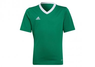 Adidas Παιδικό T-shirt Πράσινο HI2126 - adidas performance - 