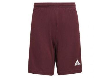 Adidas Squadra 21 GN8081 Παιδικό Σορτς Εμφάνισης Ποδοσφαίρου - adidas performance - 