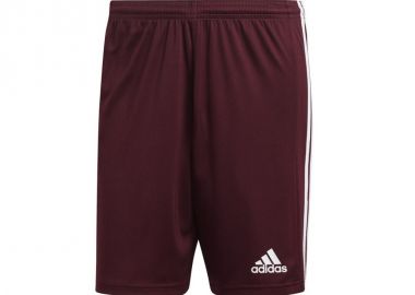 Adidas Squadra 21 GN8083 Ανδρικό Σορτς Εμφάνισης Ποδοσφαίρου - adidas performance - 