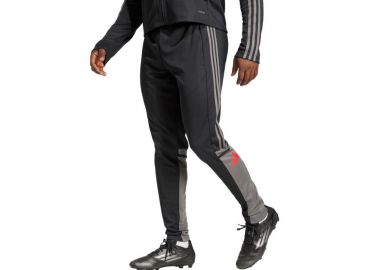 adidas Squadra 25 Training M JD1625 Pants - adidas performance - 