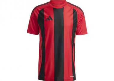 Adidas STRIPED 24 JSY Tshirt IW4556 - adidas performance - 