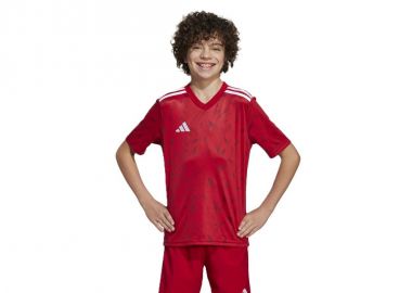 adidas Team Icon 25 Jr Tshirt JM8362 - adidas performance - 