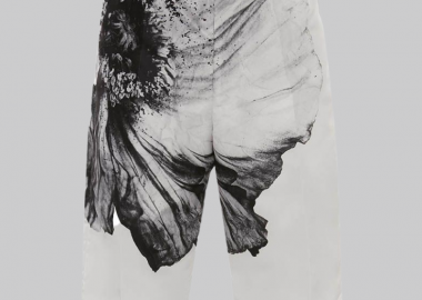 ALEXANDER MCQUEEN Ανδρικό Λευκό Flower Print Polyfaille Shorts - ALEXANDER MCQUEEN - 