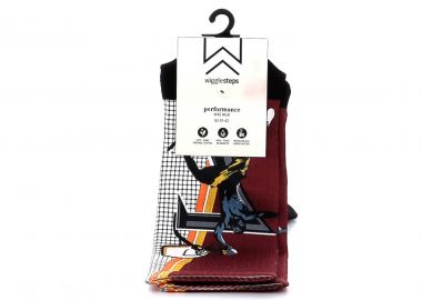 Ανδρικές Κάλτσες Wigglesteps Πολύχρωμες 3010-02423-900 - WIGGLESTEPS - 