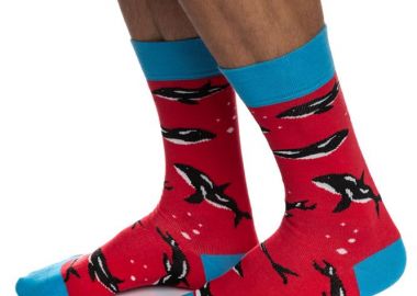 ΑΝΔΡΙΚΗ ΒΑΜΒΑΚΕΡΗ ΚΑΛΤΣΑ ΙΝΙΖΙΟ ΣΧΕΔΙΟ ΦΑΛΑΙΝΕΣ 4195-04-6 ΚΟΚΚΙΝΟ - INIZIO - 