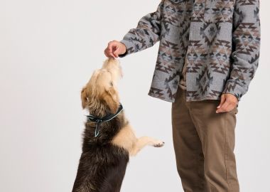 Ανδρικό chino παντελόνι - The essentials - FUNKY BUDDHA - 