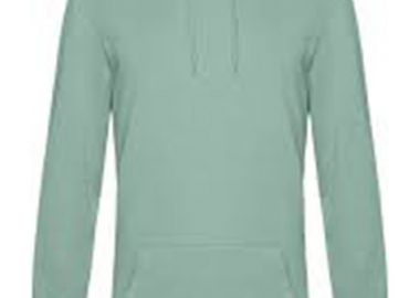 Ανδρικό Φούτερ French Terry B & C WU03W Sage - B & C - 