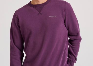 Ανδρικό φούτερ με τυπωμένο logo - The essentials - FUNKY BUDDHA - 