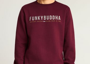 Ανδρικό φούτερ με τυπωμένο logo - The essentials - FUNKY BUDDHA - 