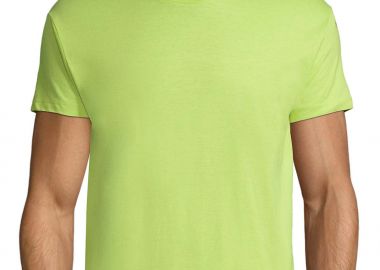 Ανδρικό T-Shirt 11380 SOL'S Regent Apple Green - SOLS - 