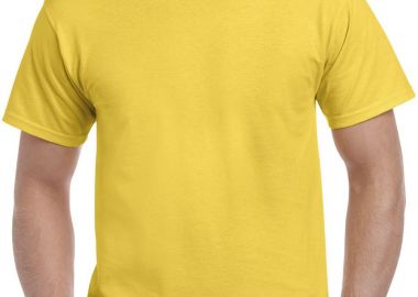 Ανδρικό T-Shirt Heavy Cotton 5000 Gildan Daisy - Gildan - 