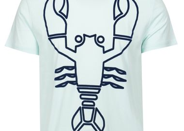 ΑΝΔΡΙΚΟ T-SHIRT ΚΟΝΤΟΜΑΝΙΚΟ ΑΠΟ ΟΡΓΑΝΙΚΟ ΒΑΜΒΑΚΙ THOAP355 ΣΙΕΛ - VILEBREQUIN - 