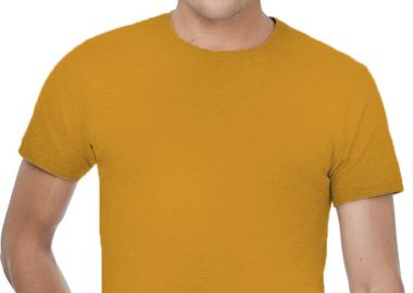 Ανδρικό T-Shirt TU01T B & C E150 Apricot - B & C - 