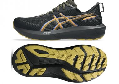 Asics GT1000 14 GTX shoes 1011C078 001 - Asics - 