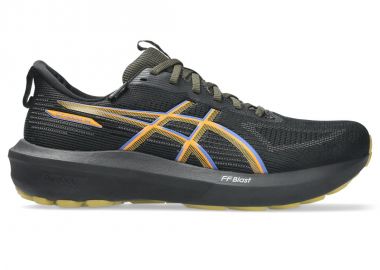Asics GT1000 14 GTX shoes 1011C078 001 - Asics - 
