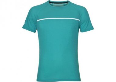 Asics SS Top M Tshirt 1545828098 - Asics - 