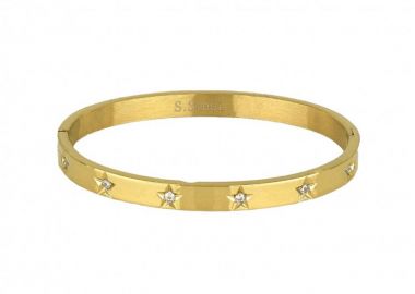 Βραχιόλι Βέργα Από Ατσάλι Επιχρυσωμένο Με Ζιργκόν TU29754 - AMOR AMOR - 