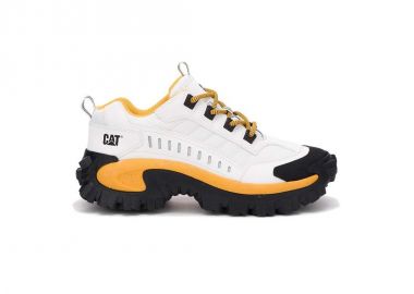 Caterpillar Intruder P723902 - Caterpillar - 