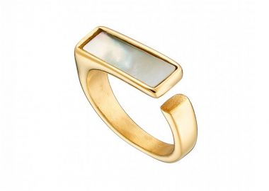 Δαχτυλίδι Από Ατσάλι Επιχρυσωμένο Με Φίλντισι AS37559 - AMOR AMOR - 