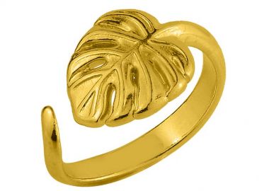 Δαχτυλίδι Από Ορείχαλκο Επιχρυσωμένο 24Κ Μονστέρα PF38739 - AMOR AMOR - 