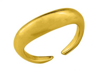 Δαχτυλίδι Από Ορείχαλκο Επιχρυσωμένο 24Κ PF34337 - AMOR AMOR - 