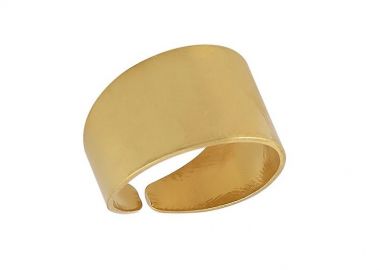 Δαχτυλίδι Από Ορείχαλκo Επιχρυσωμένο 24Κ PF39917 - AMOR AMOR - 