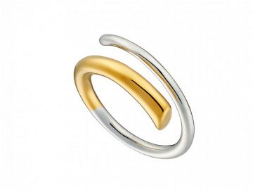 Δαχτυλίδι Δίχρωμο Από Ατσάλι Επιχρυσωμένο AS37565 - AMOR AMOR - 