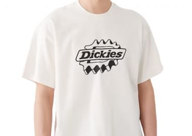 DICKIES Ανδρικό T-Shirt IRONDALE SS TEE - Λευκό-DK0A88PDC481-WHITE - DICKIES - 