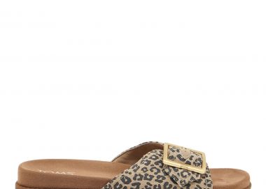 FLATS σχέδιο: W421H0212 - TOMS - 