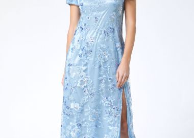 ΓΑΛΑΖΙΟ ΜΑΞΙ ΦΟΡΕΜΑ ΔΑΝΤΕΛΑ ΜΕ ΠΑΓΙΕΤΕΣ ΚΑΙ ΣΚΙΣΙΜΟ - Anna Raxevsky - 