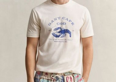 Gant Ανδρικό Graphic Κοντομάνικο T-Shirt 2003425 Σπασμένο Λευκό - Gant - 