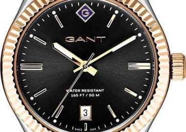 GANT Sussex - G136010, Silver case with Stainless Steel Bracelet - Gant - 