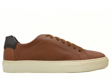 HAWKINS ΑΝΔΡΙΚΟ ΔΕΡΜΑΤΙΝΟ SNEAKER 8426 TAN - HAWKINS PREMIUM - 