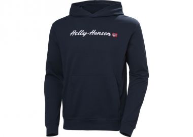 Helly Hansen Core Graphic Sweat Hoodie M 53924 596 - Helly hansen - 