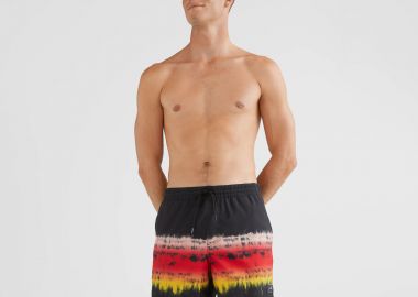 HORIZON SWIM SHORTS 15