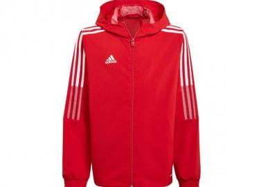 Jacket adidas Tiro 21 Windbreaker Jr GP4976 - adidas performance - 
