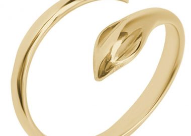 JCOU Δαχτυλίδι από ασήμι 925 Gold JW912G0-02 - Jcou Jewellery - 