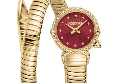JUST CAVALLI Radiosa - JC1L350M0035, Gold case with Stainless Steel Bracelet - Just Cavalli - 