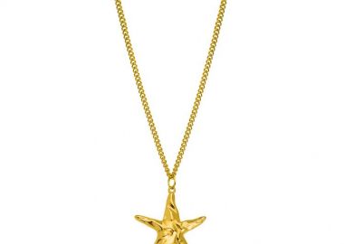 Κολιέ Από Ανοξείδωτο Ατσάλι Και Ορείχαλκο Επιχρυσωμένο 24Κ Με Αστερία AA17646 - AMOR AMOR - 